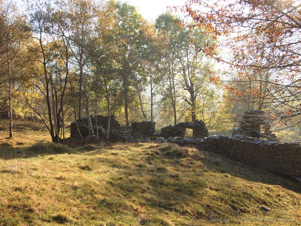 Piaro (Biella, Italy) - Clearing against the light in autumn